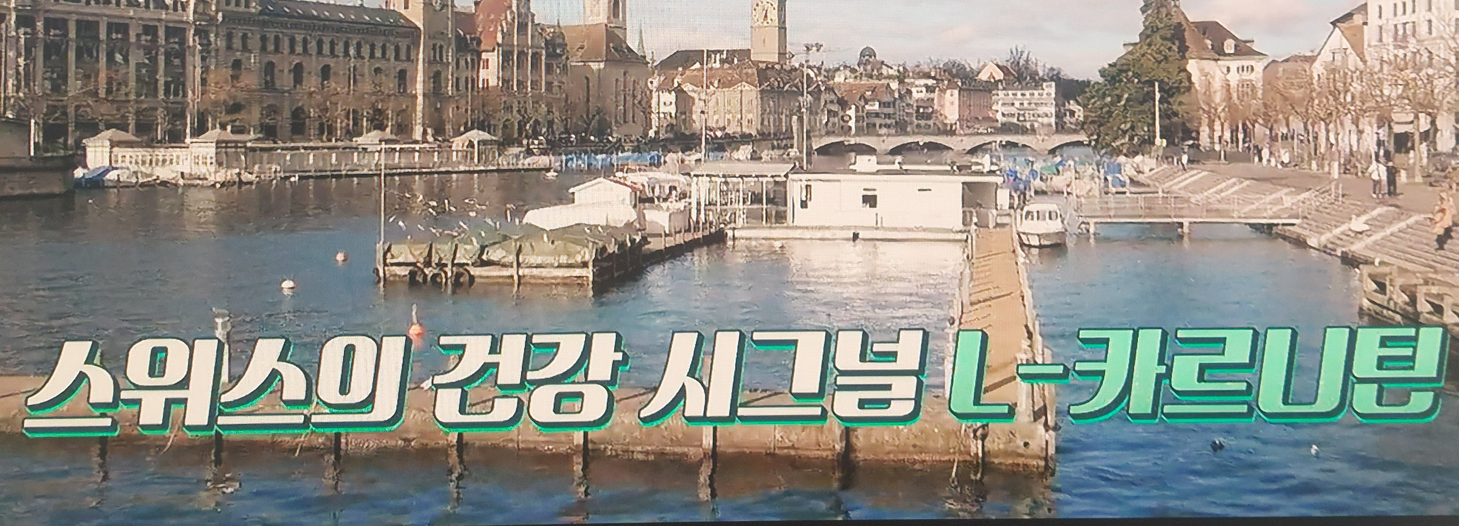 L-카르니틴