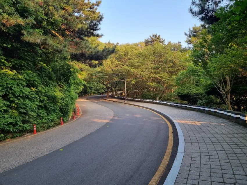 태종대를 산책하던 모습입니다.