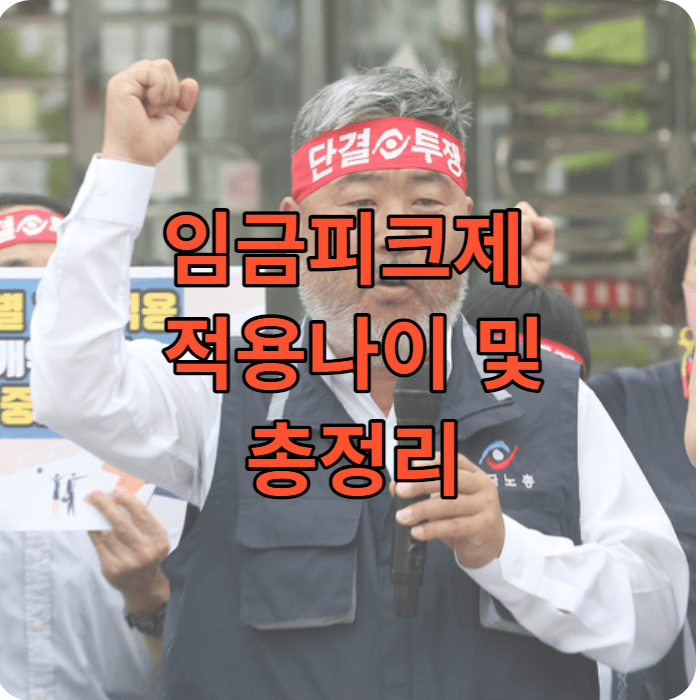 임금피크제 적용 나이