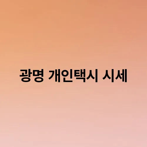광명 개인택시 시세
