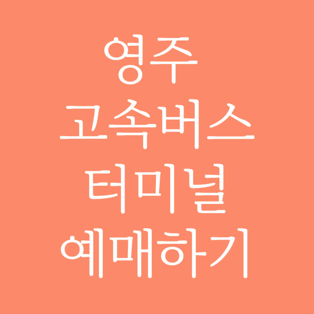 영주 고속버스터미널 시간표 조회 및 예매하기