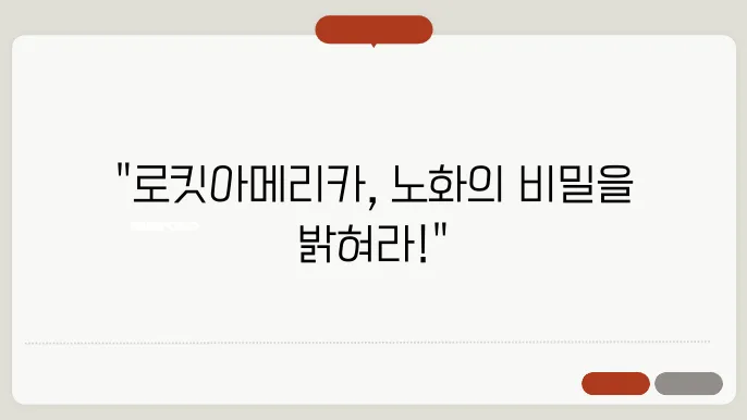 로킷아메리쳧4 nmn 롱라스팅 노화 에너지 효과와 내돈내산 후기 가격 부작용