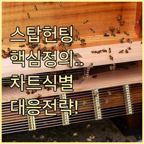 비트코인 스탑헌팅 정의 차트 식별 및..