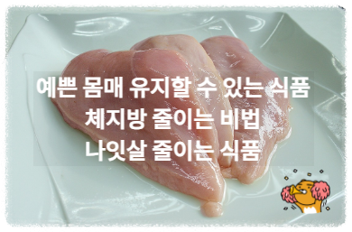 나잇살 줄이기 닭가슴살