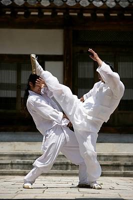 태껸 움직임의 미학과 표현성
