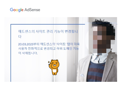 에드센스 하위도메인 등록 설정 기능 삭제