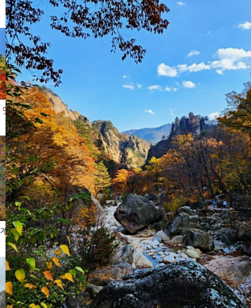 2024년 단풍절정시기