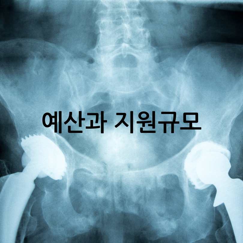 인공관절 수술비지원사업