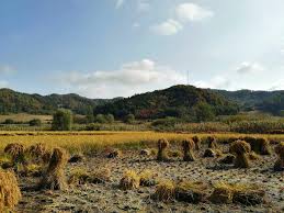 농지연금 가입조건