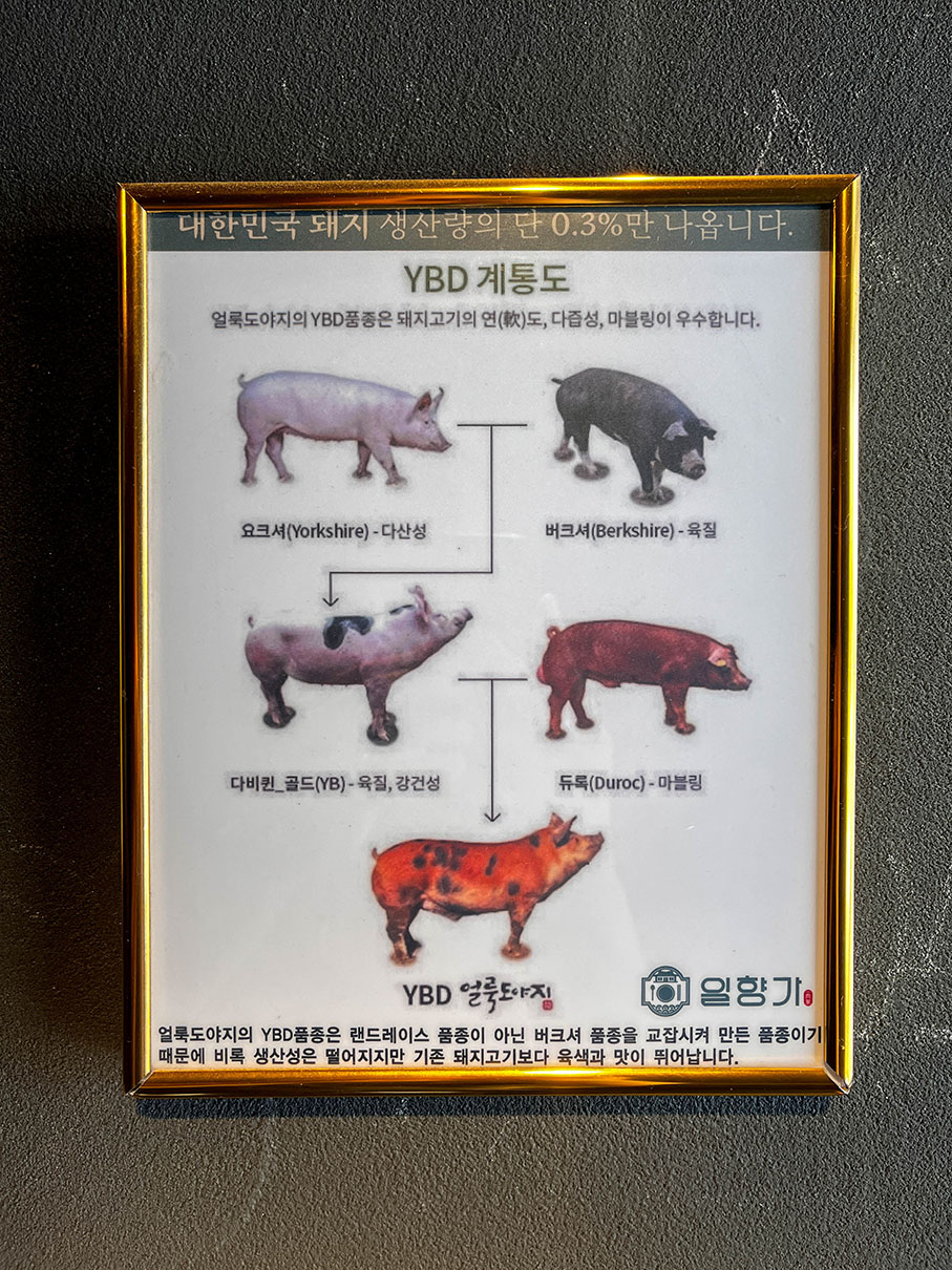 부산 기장 일광 오션뷰 맛집 일향가