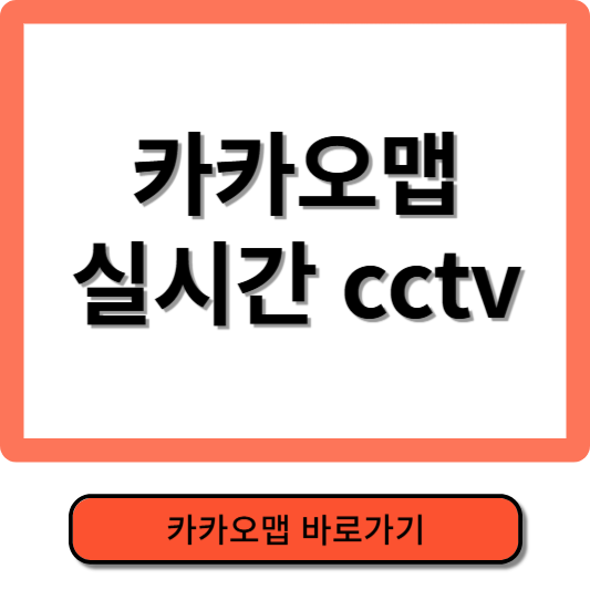 카카오맵 실시간 cctv