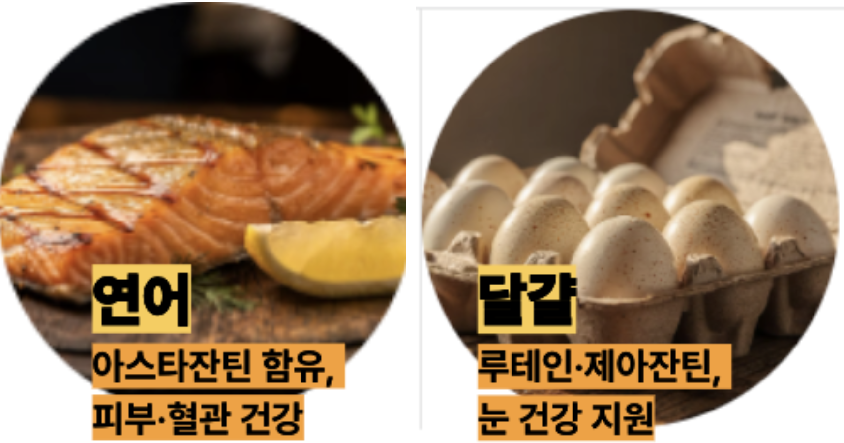 항산화 음식 절대 강자 연어, 달걀