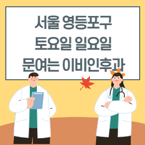 서울 영등포구 토요일 일요일 이비인후과 진료 병원 리스트