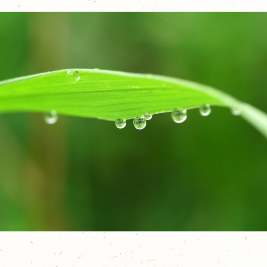 초가을 들판 풍경