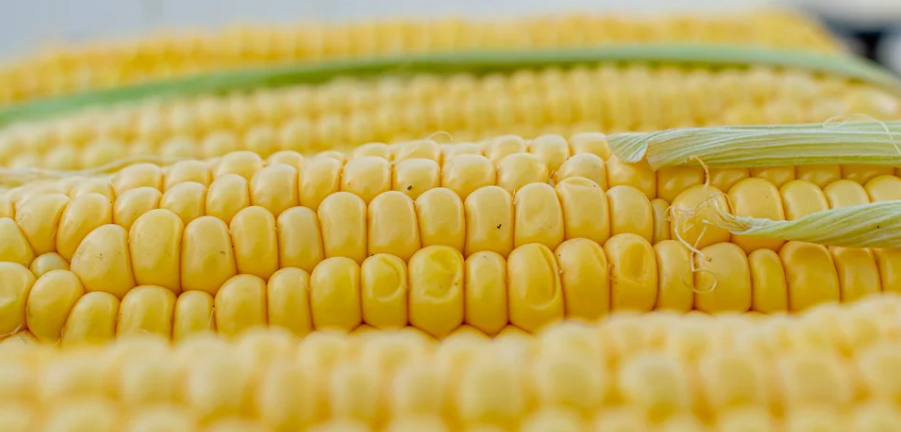 ํก์ค์ฌ๋ก์ง ํด๋ ์ฆ ๋น์ ๋์๋ ๊น? ์ฑ๋ถ ๋ถ์ ๋ฐ ํจ๊ณผ์ ๋ํ ์๊ฐ