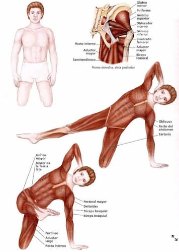 The Side Kick Kneeling (사이드 킥 닐링)