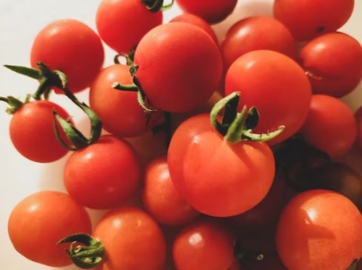 잘익은방울토마토