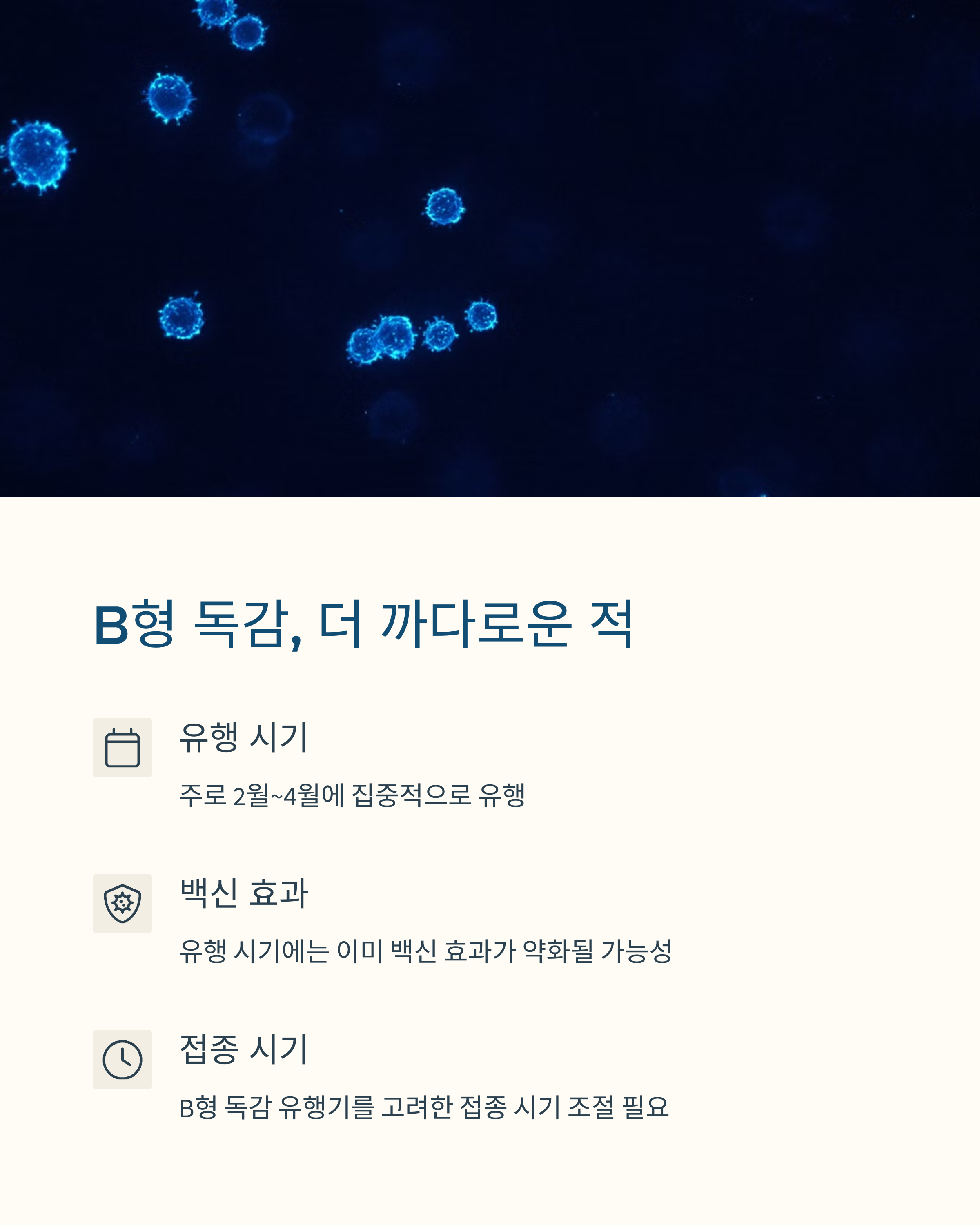 독감 예방주사 효과 기간은 B형 독감 예방에 필요한 3~6개월 면역력 관리법