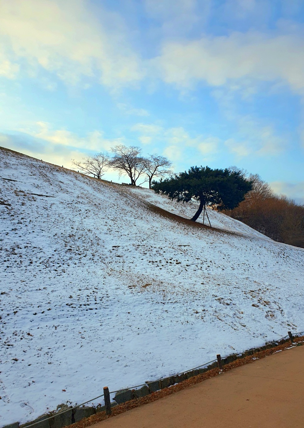 공원-걷기는-건강에-도움이-됩니다.