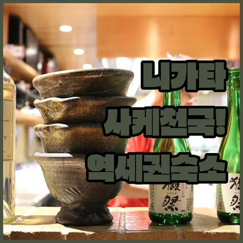 니가타 자유여행 실내 관광 명소 폰슈..