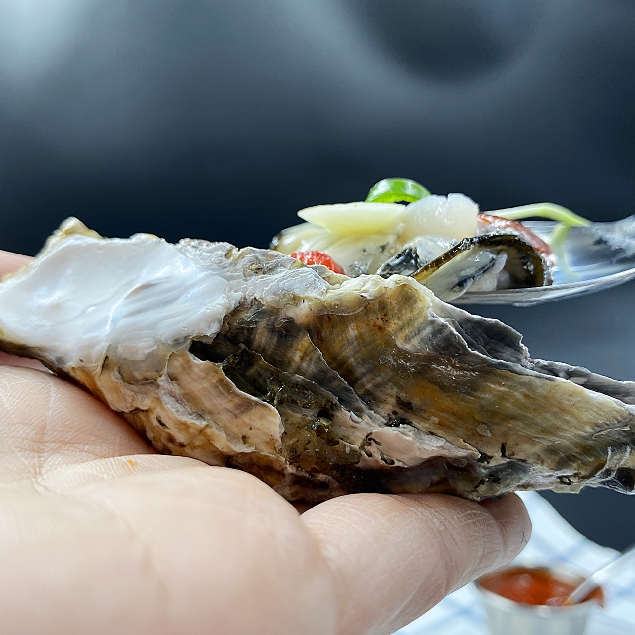 하프셀 굴 숟가락으로 들기