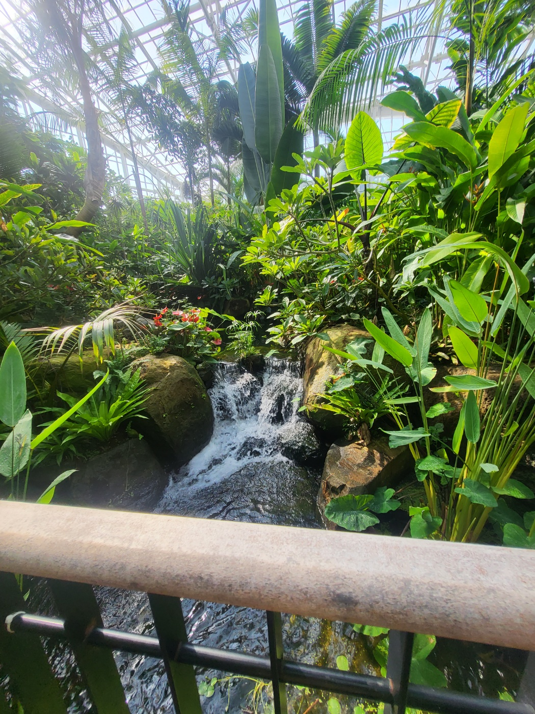 세종 아이와 가볼 만 한 곳 (세종수목원)