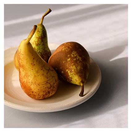 위고비 추천대상1