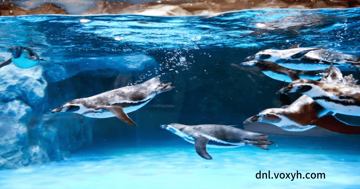 롯데월드의 생태