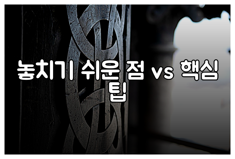 놓치기 쉬운 점 vs 핵심 팁