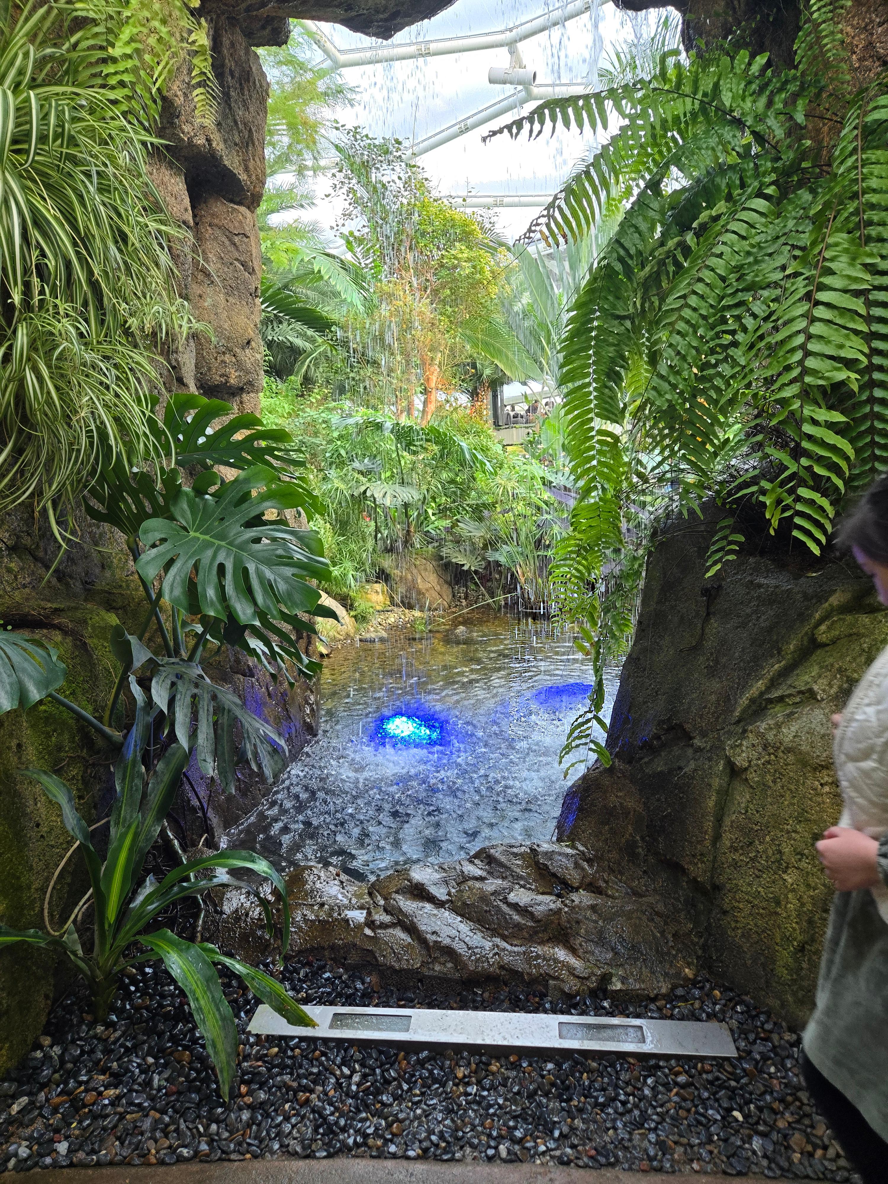 부천수피아식물원카페