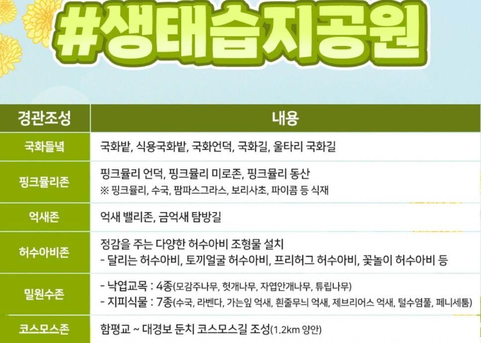  함평 국화축제 일정 및 프로그램