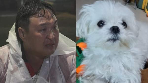 구성환 국토대장정 완주! 꽃분이와 마지막 인사 나혼자산다 644회 감동의 현장 요약
