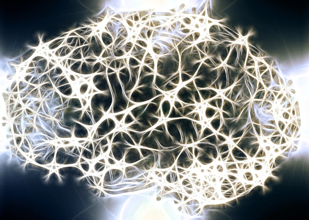 인류의 마지막 영역 뇌를 열다 뇌-컴퓨터 인터페이스 기술