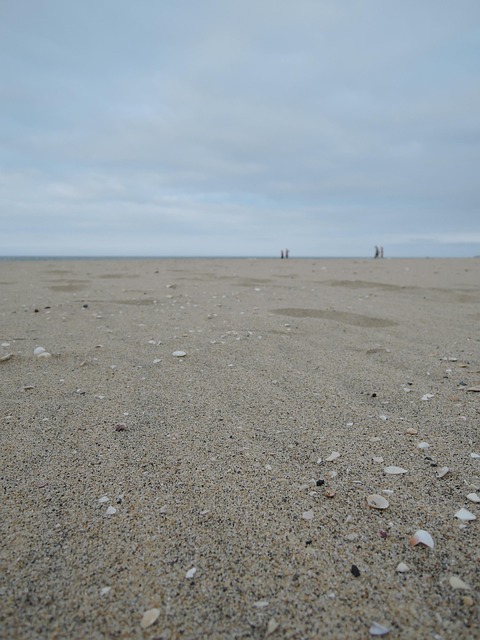 대천 해수욕장 사진