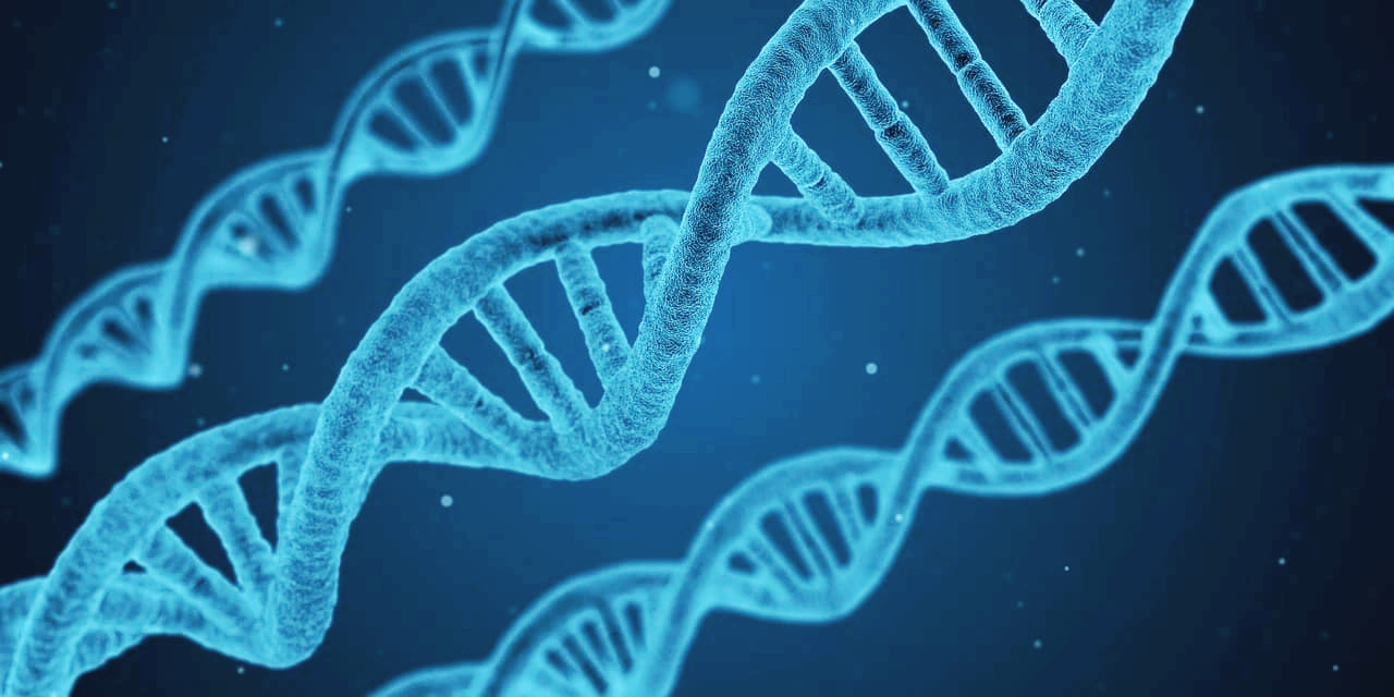 NGS vs PCR, 무엇이 더 좋을까? ❘ 정확도 · 비용 · 활용 사례 총정리 ❘ 차세대 유전자 검사 기술 비교