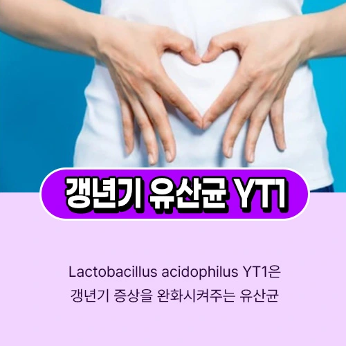 갱년기 유산균 YT1