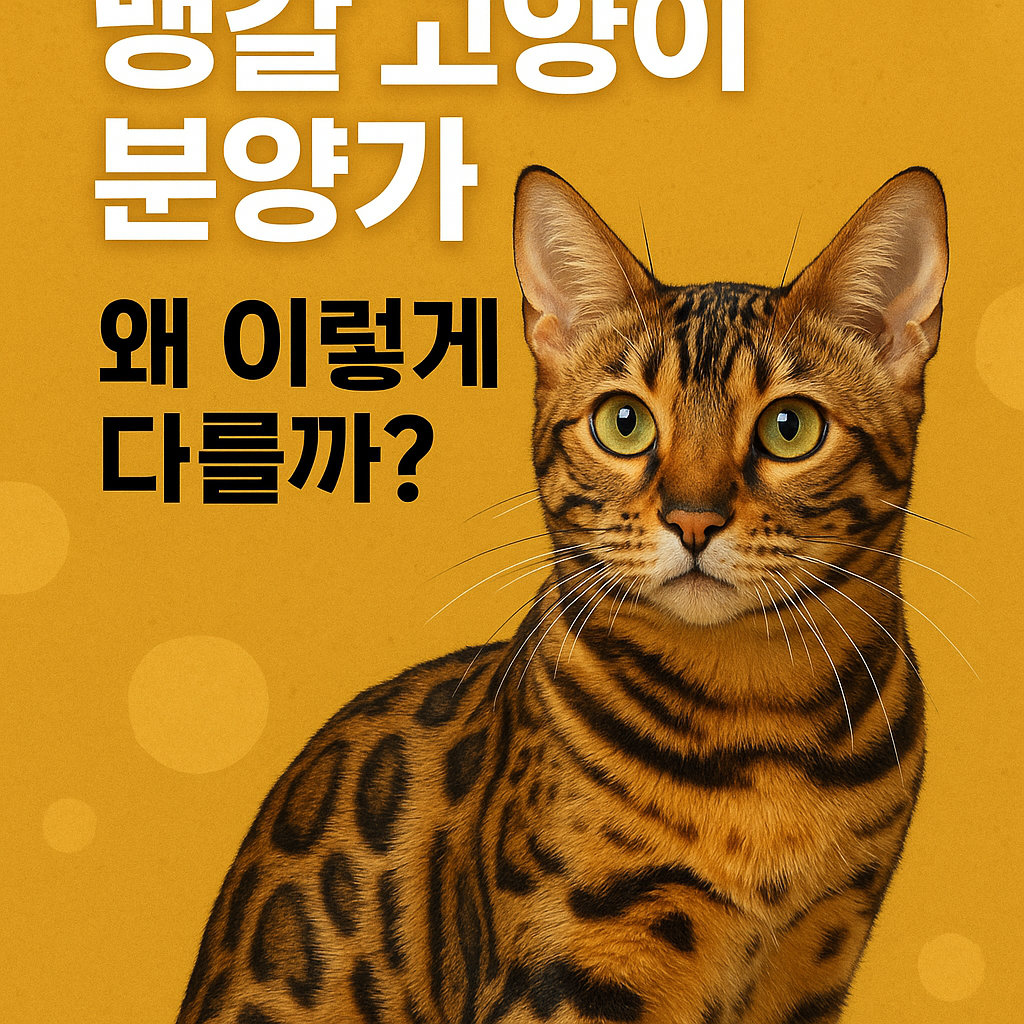 뱅갈 고양이