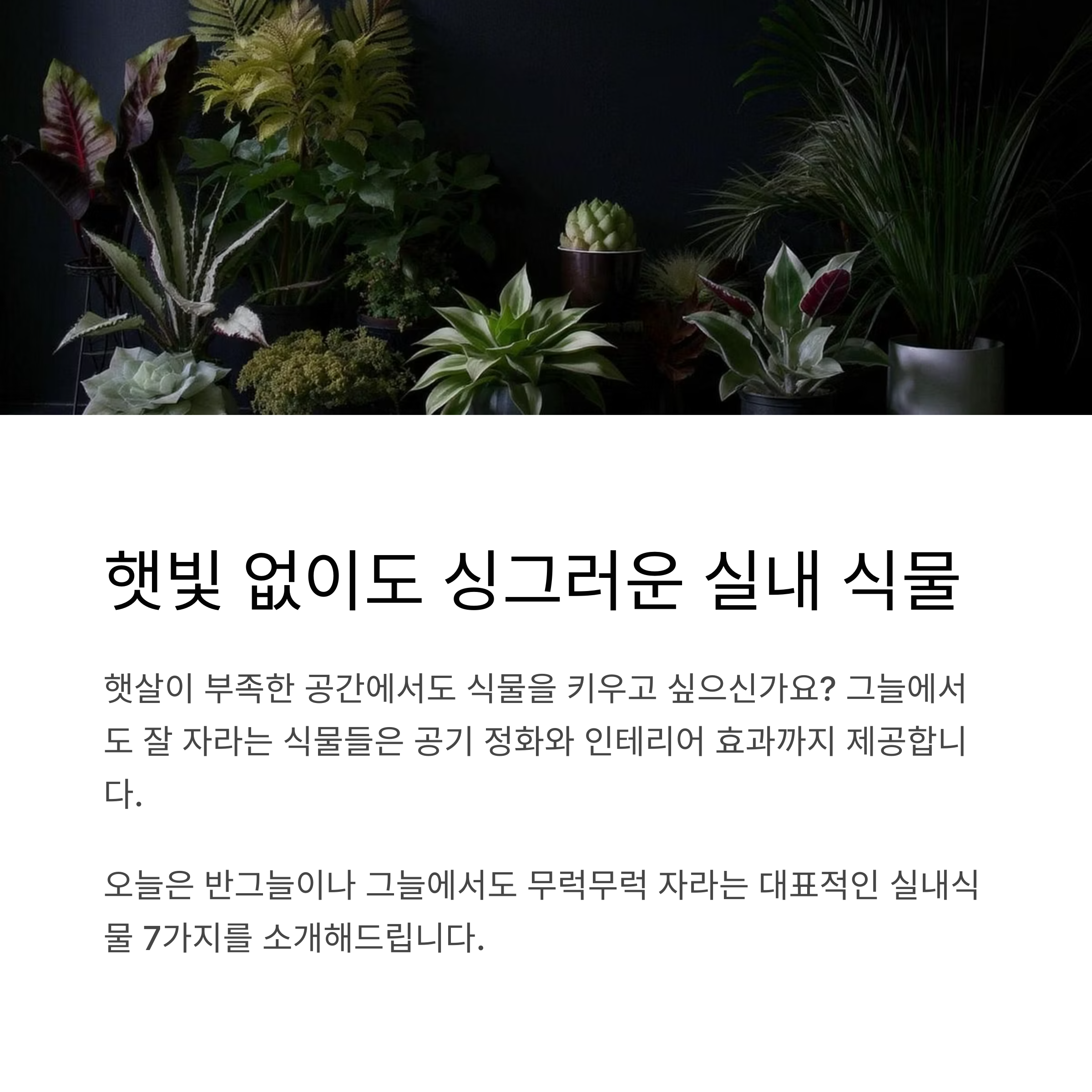 햇빛 없이도 싱그러운 실내 식물