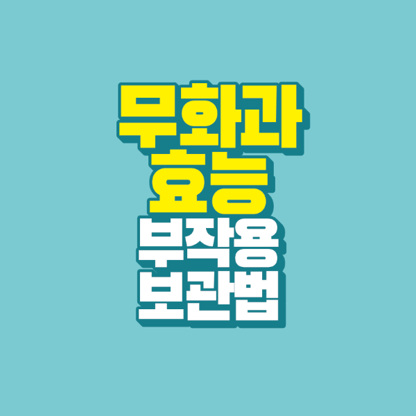 썸네일-무화과-효능-부작용-보관법