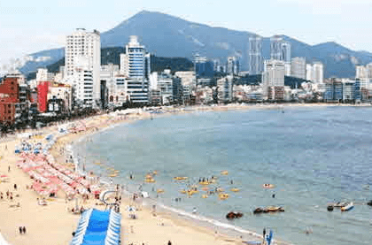 8월 국내 여행지 추천