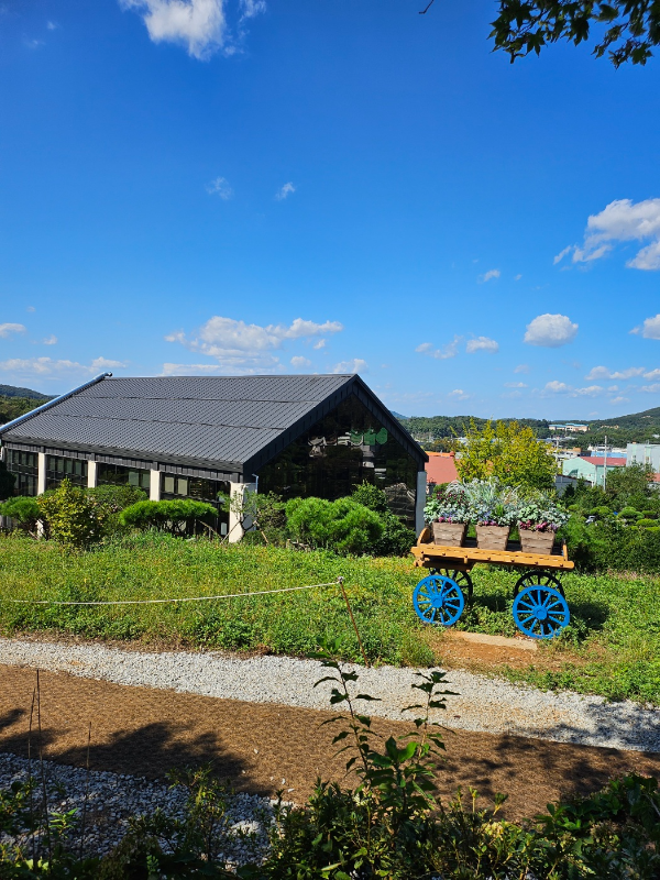 김포카페드첼시