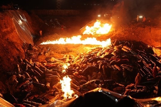 렘데시비르 관련주