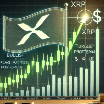 xrp 시세전망