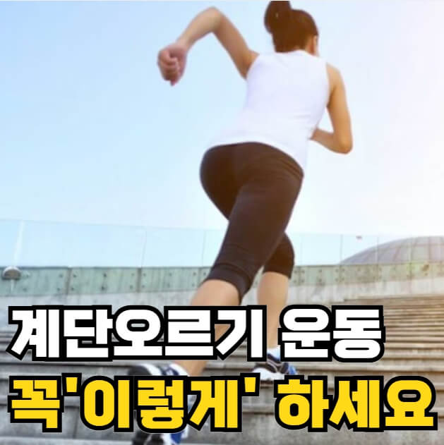 계단오르기 운동효과