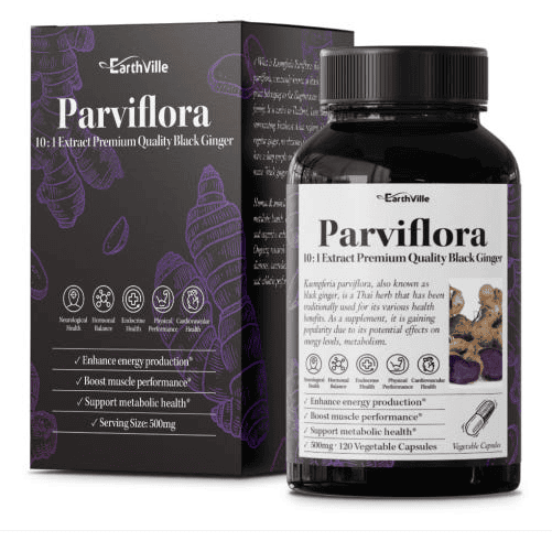 파비플로라 추천 순위 TOP 5(25년 6월) - 네이버&amp;#44; 쿠팡 인기 판매 순위 분석