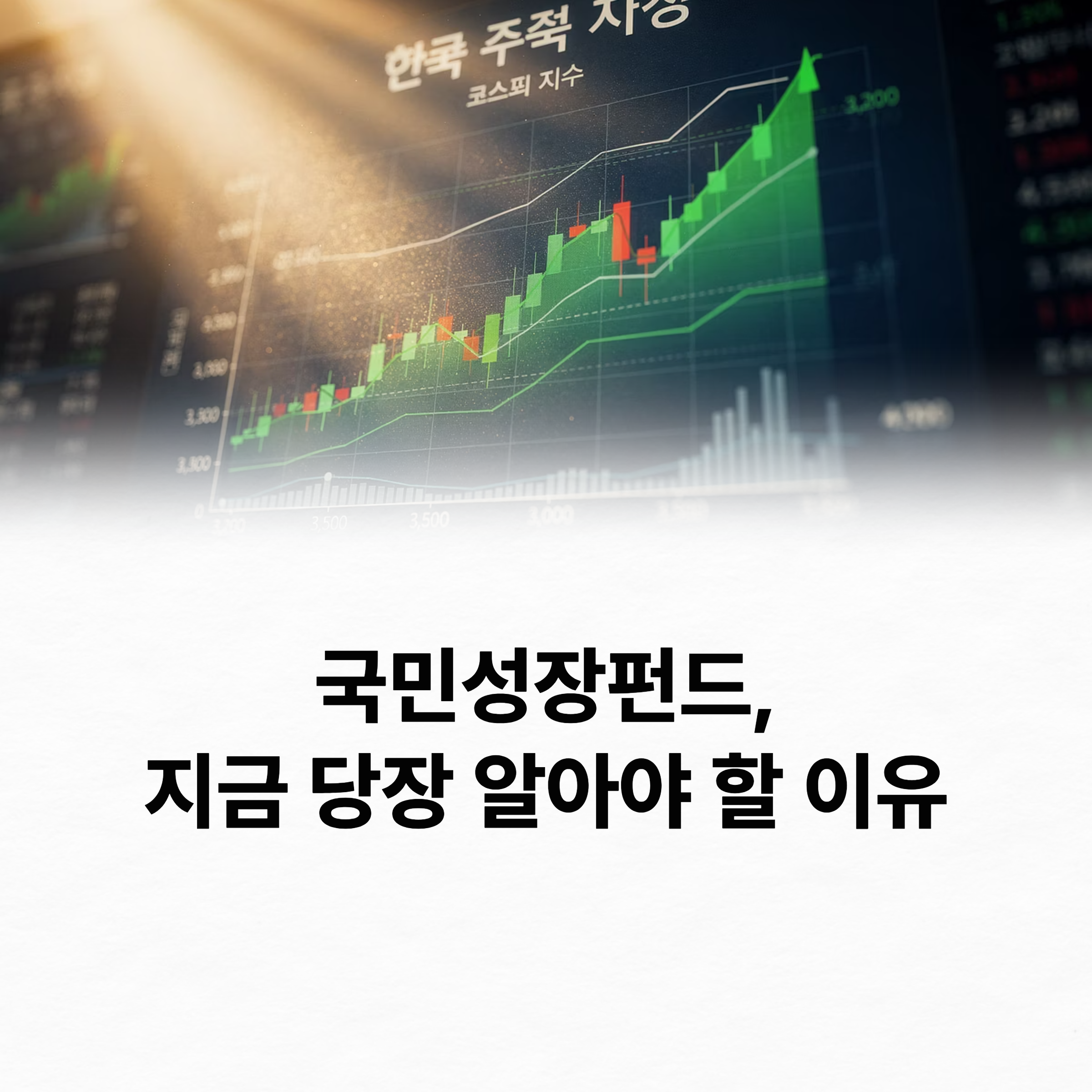 국민성장펀드 소득공제