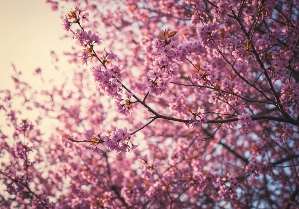 기초연금, 나도 받을 수 있을까? 소득 기준과 계산법