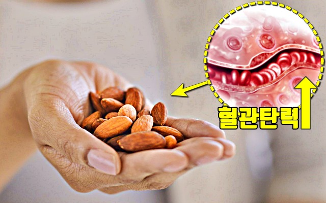 혈전에 좋은 음식 견과류,혈전 녹이는 음식,팁줌