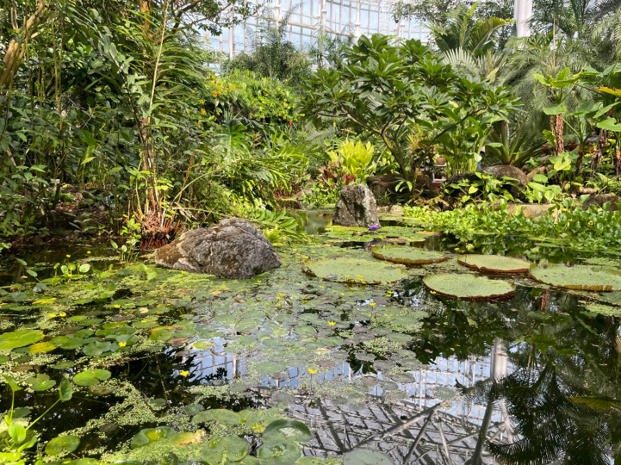 국립 세종수목원 사계절 전시온실 열대식물전시원