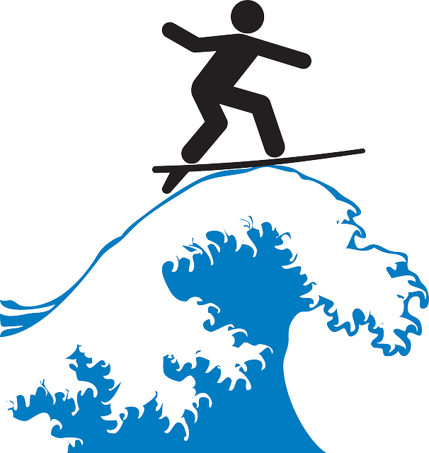 서핑의 대한 모든 것